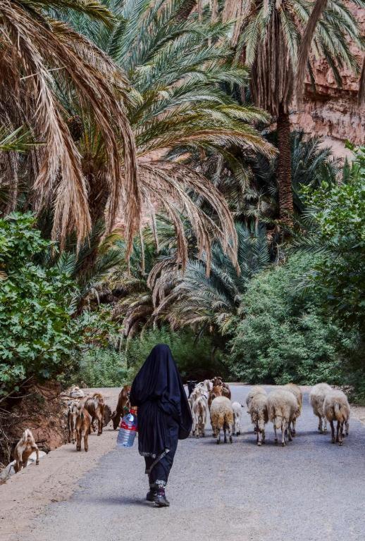 Отель Click Excursions Tafraoute Taddart Экстерьер фото